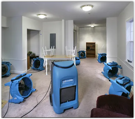 Basement Flood Cleanup in Lincoln, CA
